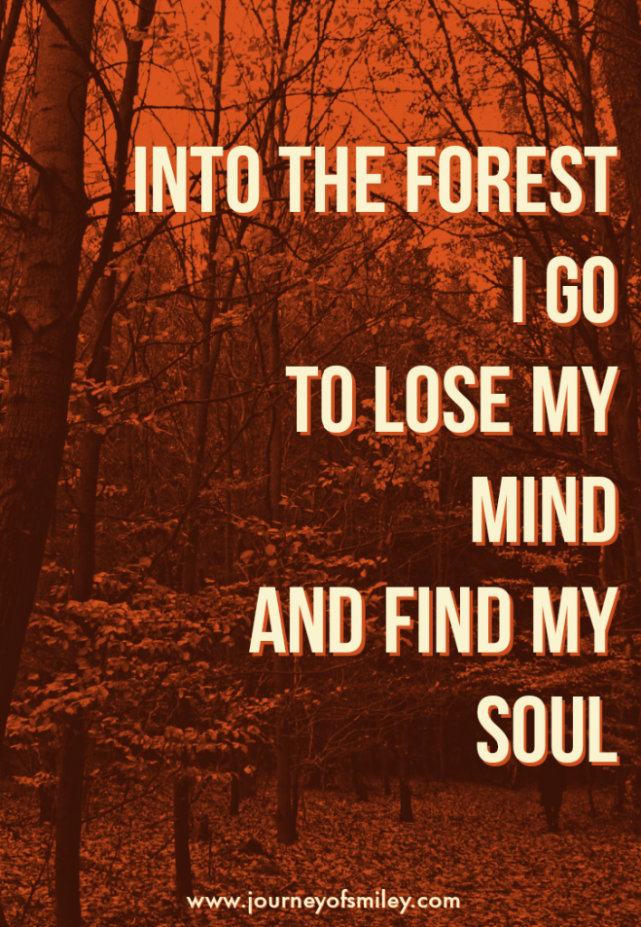 Orange coloured trees in a forest with a walking inspirational quote on the Journeyofsmiley blog