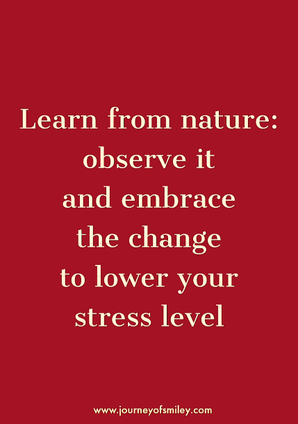 Red background with an inspirational seasonal quote about managing autumn anxiety on the Journeyofsmiley blog