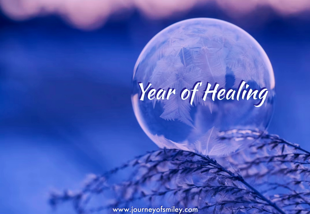 A big bubble on a snowy brunch and title Year of Healing on Journeyofsmiley blog