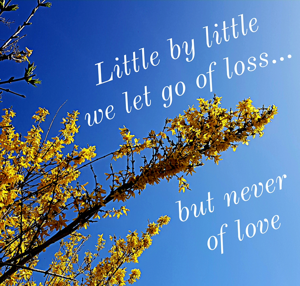 Grief and loss quote on Journeyofsmiley Blog