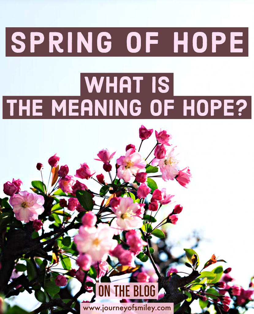 a flowery tree brunch with little flowers and title spring of hope what is the meaning of spring on Journeyofsmiley blog