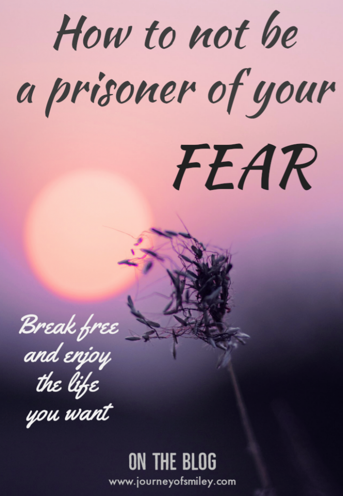 a flower in the wind in the sunset and title overcome your fears and enjoy your life on Jourenyofsmiley Blog