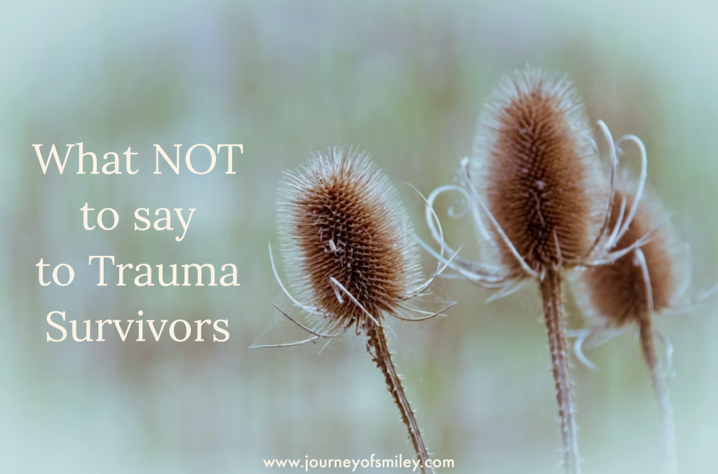 Three thistles on the right side and on the left is the title What not to say to trauma survivors on the Journeyofsmiley blog