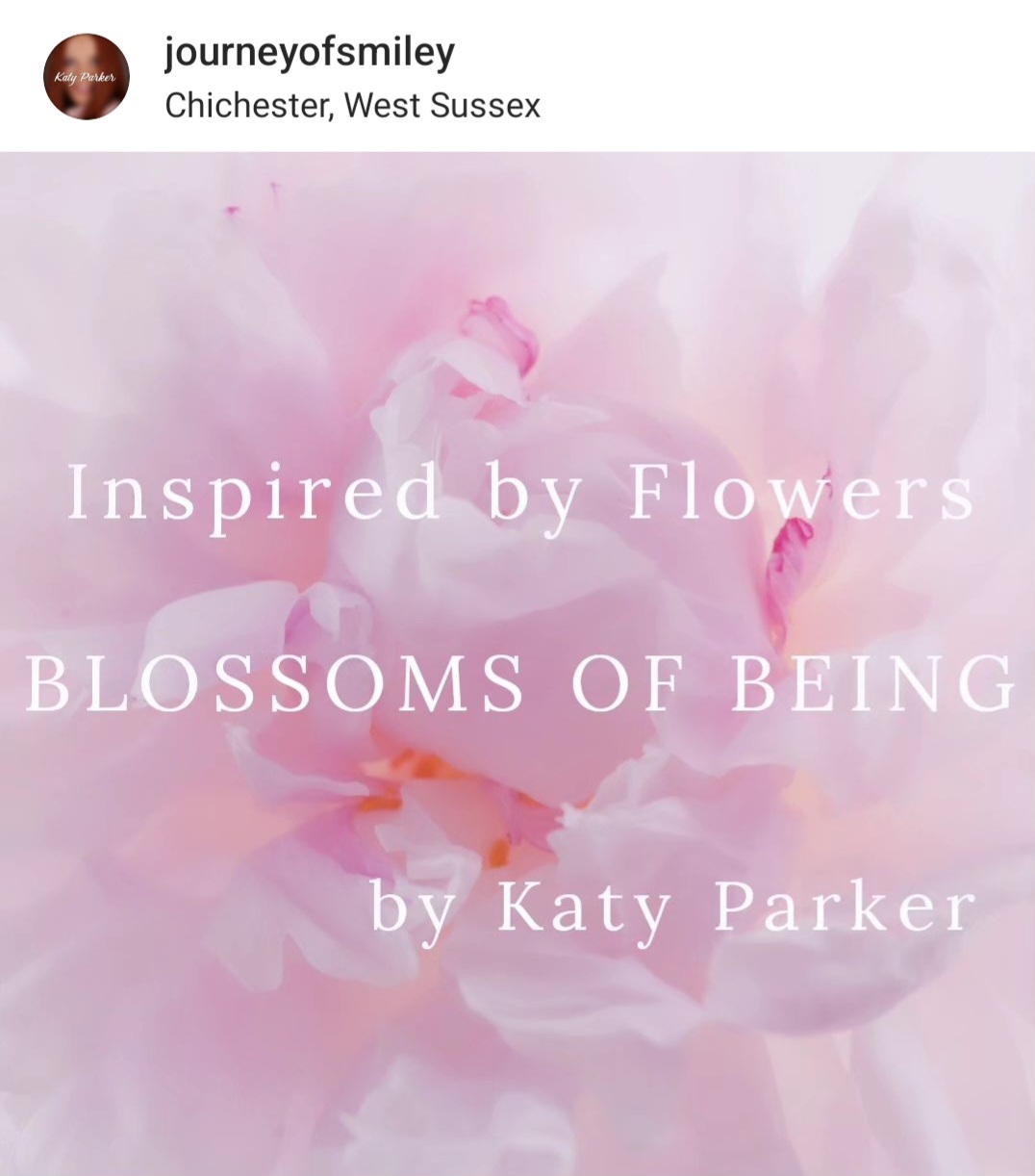Pink flower background with the title Inspired by Flowers Blossoms of Being by Katy Parker