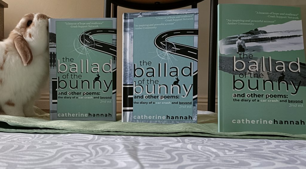 Poetry for healing - The Ballad of the Bunny and Other Poems by Catherine Hannah on Journeyofsmiley Blog