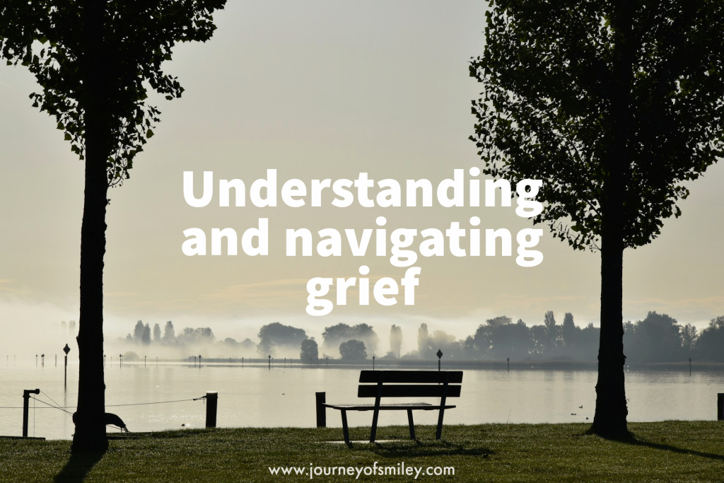 A bench between two tall trees and see and city in the background with the title Understanding and navigating grief on Journeyofsmiley