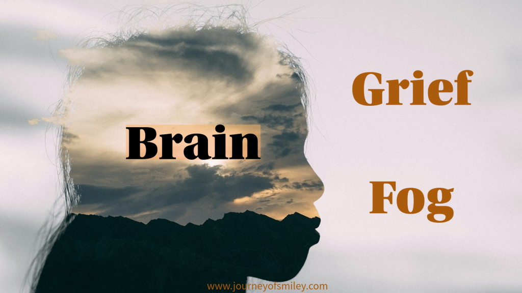 A head with fog in the brain and the title is Grief Brain Fog on Journeyofsmiley blog