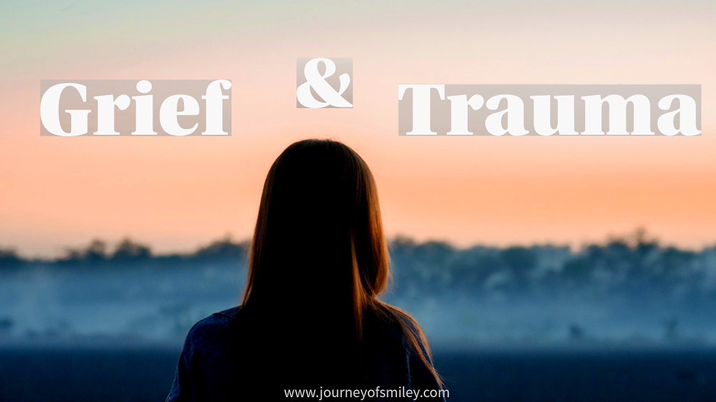 A women with her back forward, looking into the background with trees and orange sky, and the title is Grief and Trauma on Journeyofsmiley