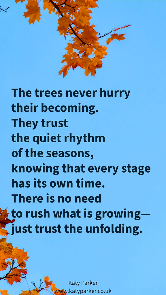 A blue sky and orange autumn leaves on a brunch on top and on the bottom of the image, with the middle of blue sky and a poem about trees and quiet rhythm of the season of autumn on katyparker.co.uk