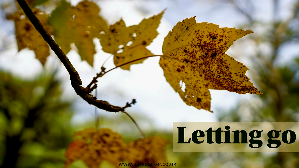 A branch with autumn colour yellow leaf and the title is Letting go on katyparker.co.uk
